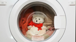 Bí Quyết Chăm Sóc Gấu Bông Không Bị Xù
